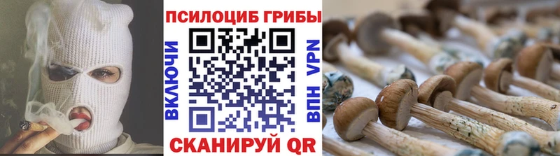 закладки  Игарка  ссылка на мегу ссылки  Галлюциногенные грибы Magic Shrooms 